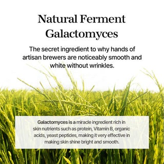 mixsoon Galactomyces Ferment Essence 100 mL Mixsoon