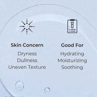 COSRX Hyaluronic Acid Hydra Power Essence 100mL COSRX