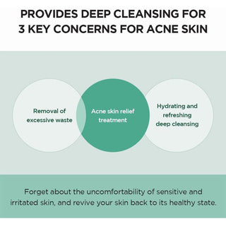 SKIN1004 Madagascar Centella Tea-Trica BHA Foam 4.22 fl.oz 125mL Skin1004