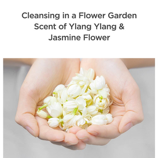 manyo Pure Cleansing Milk manyo