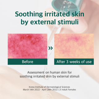 ROUND LAB Pine Calming Cica Ampoule 30mL Round lab