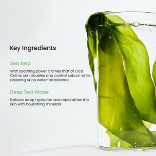 key ingredients of biodance refreshing sea kelp real deep face mask: sea kelp, deep sea water