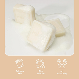 ECOBRICK Mild Acidic Solid Bar - Cleansing Care ECOBRICK
