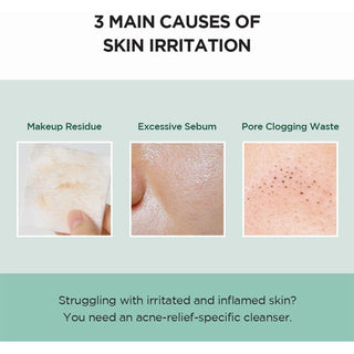 SKIN1004 Madagascar Centella Tea-Trica BHA Foam 4.22 fl.oz 125mL Skin1004