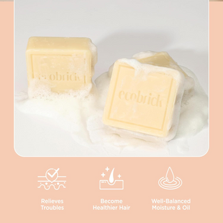 ECOBRICK Mild Acidic Shampoo Bar - Scalp Care ECOBRICK