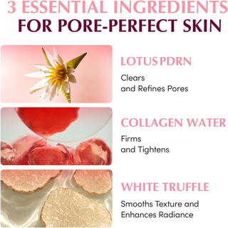 Three essential ingredients for pore-perfect skin with images and descriptions