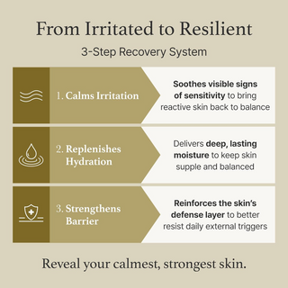 I'm From Mugwort Essence 160mL I'm from