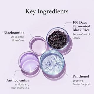 Key ingredients of I'm from Black Rice Toner with labeled benefits
