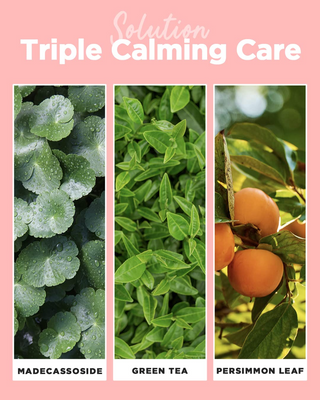 triple calming care includes madecassoside, green tea, persimmon leaf