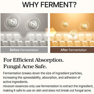 before and after comparision of fermenting mixsoon Bean Essence
