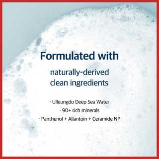 ROUND LAB 1025 Dokdo Cleanser 150 mL Round lab