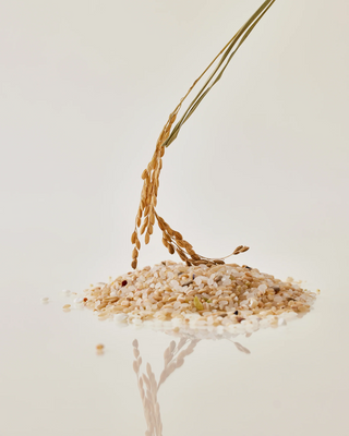 House of Hur Brightening Skin Prep Essence Pad 70pads House of Hur