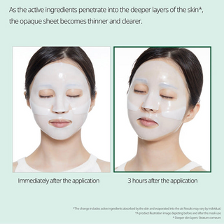 VT Pro Cica Reedle Shot Essential Hydrogel Mask VT