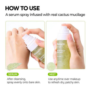 Dr. Melaxin CACTOX Pore Relief Jelly Serum Mist 80mL