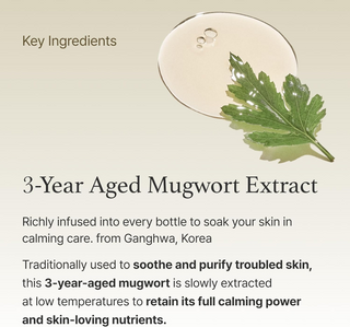 I'm From Mugwort Essence 160mL
